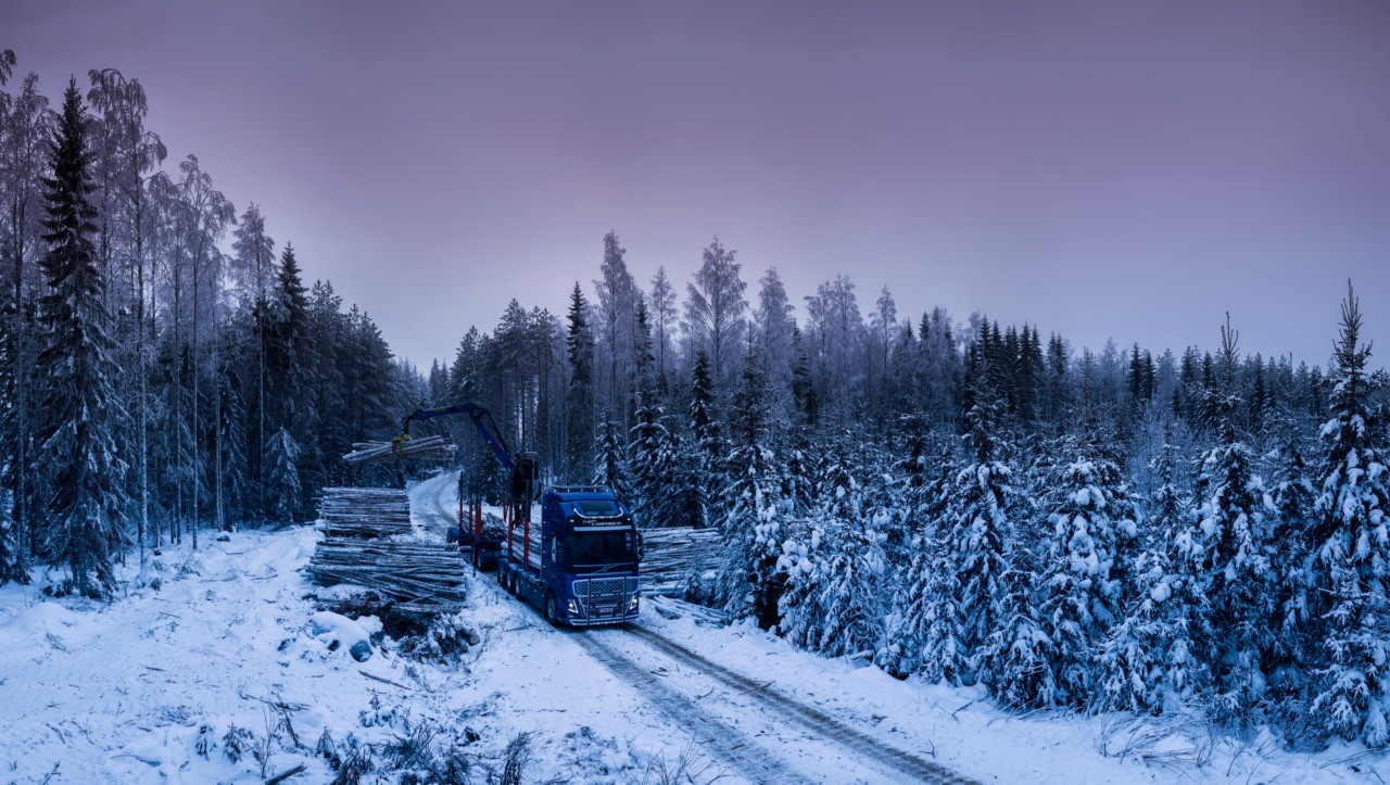 Utovar drvne građe u finskoj šumi.
