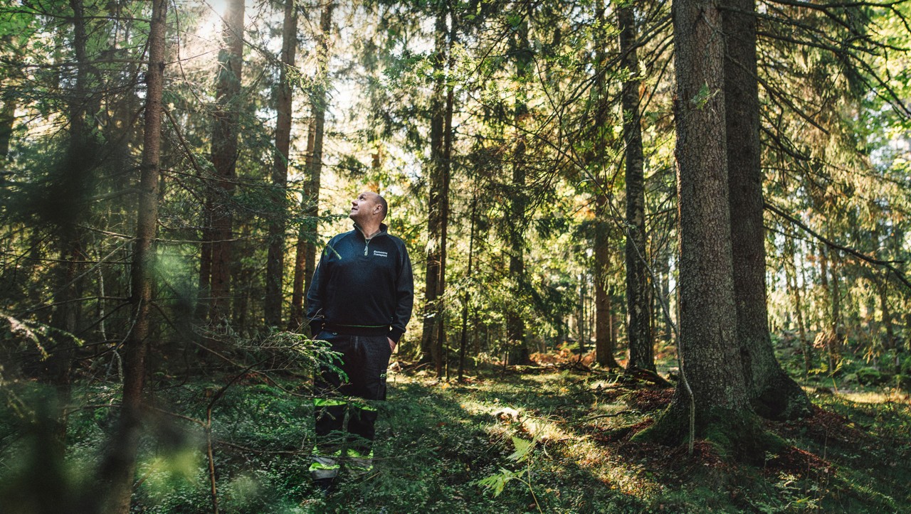 Bert Juhanson u šumi